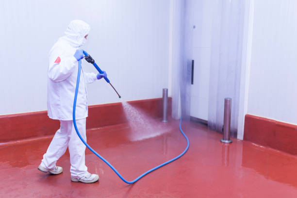 Best Solar Panel Cleaning  in Waverly, TN